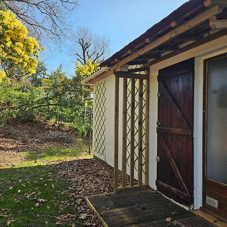 La Petite Maison Du Lac Biscarrosse Bagian luar foto