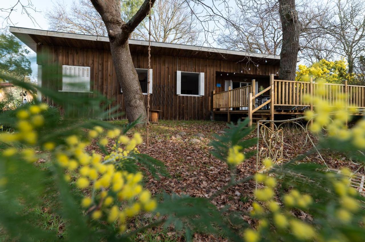 La Petite Maison Du Lac Biscarrosse Bagian luar foto